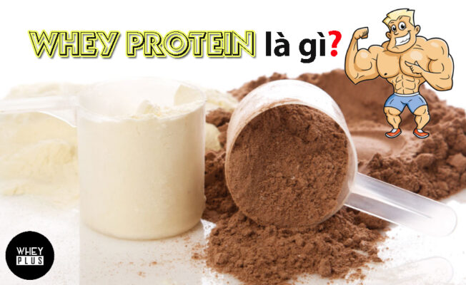 Whey protein là gì