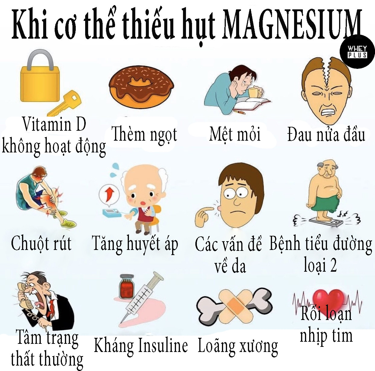 công dụng của magnesium