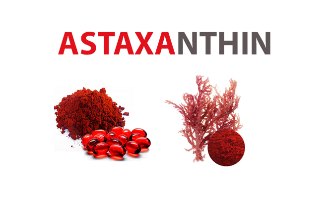 astaxanthin là gì